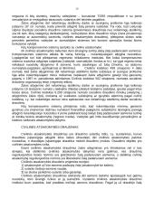 Civilinės atsakomybės teorija 20 puslapis