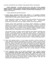 Civilinės atsakomybės teorija 3 puslapis