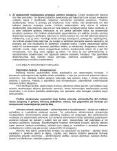 Civilinės atsakomybės teorija 4 puslapis