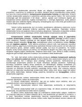 Civilinės atsakomybės teorija 5 puslapis