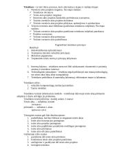 Teisės informatikos teorija egzaminui 4 puslapis