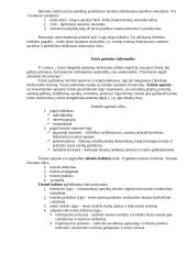 Teisės informatikos teorija egzaminui 7 puslapis