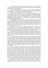 Žmogaus bei valstybės teisinis bendradarbiavimas 3 puslapis