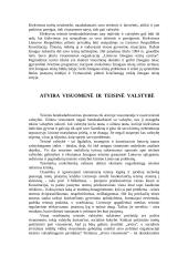 Žmogaus bei valstybės teisinis bendradarbiavimas 5 puslapis