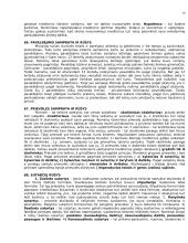 Romėnų teisės mokslas 19 puslapis