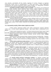 Pagrindinės civilinės teisės temos 2 puslapis