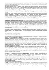 Pagrindinės civilinės teisės temos 17 puslapis