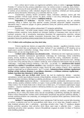 Pagrindinės civilinės teisės temos 4 puslapis