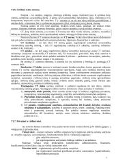 Pagrindinės civilinės teisės temos 5 puslapis