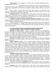 Pagrindinės civilinės teisės temos 7 puslapis