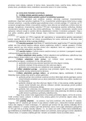 Pagrindinės civilinės teisės temos 8 puslapis