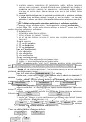 Pagrindinės civilinės teisės temos 10 puslapis