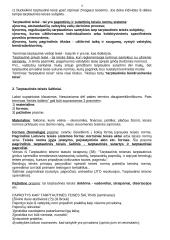 Tarptautinės teisės paskaitų teorija egzaminui 3 puslapis