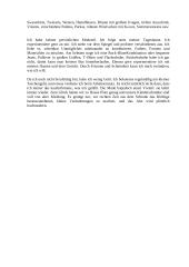 Kleider machen Leute 2 puslapis