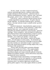 Augalai namuose ir prie jų 2 puslapis