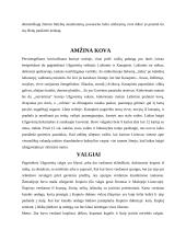 Užgavėnės Lietuvoje 4 puslapis