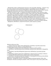 Bibliografijos samprata 11 puslapis