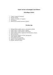 Sijono piešinys 4 puslapis