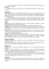 Narkotikai ir narkomanijos problema 3 puslapis