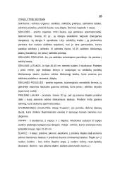 Vyrų lytinė sistema