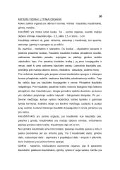 Vyrų lytinė sistema 2 puslapis