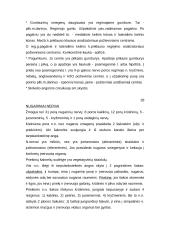 Vyrų lytinė sistema 11 puslapis