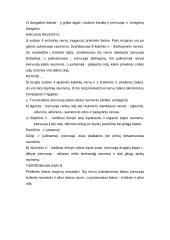 Vyrų lytinė sistema 12 puslapis