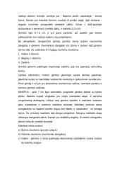 Vyrų lytinė sistema 3 puslapis