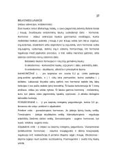 Vyrų lytinė sistema 4 puslapis