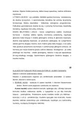 Vyrų lytinė sistema 6 puslapis