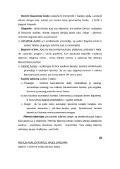 Vyrų lytinė sistema 7 puslapis