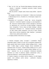 Vyrų lytinė sistema 10 puslapis