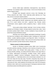 Ozonas aplinkoje 2 puslapis