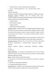 Auditas ir apskaita 3 puslapis