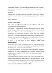 Auditas ir apskaita 4 puslapis