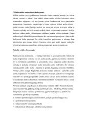 Auditas ir apskaita 5 puslapis