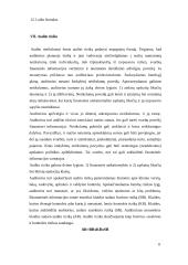 Auditas ir apskaita 9 puslapis