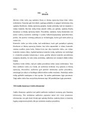 Auditas ir apskaita 10 puslapis