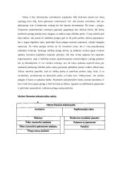 Įmonių apskaita ir finansai 7 puslapis