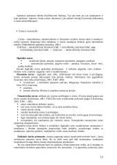 Įmonės veiklos apskaita ir sąskaitos 11 puslapis