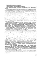 Įmonės veiklos apskaita ir sąskaitos 13 puslapis