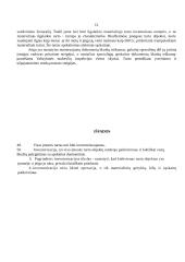 Inventorizacija ir apskaita 12 puslapis