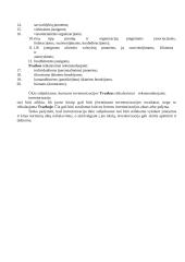 Inventorizacija ir apskaita 3 puslapis