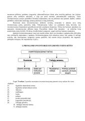 Inventorizacija ir apskaita 6 puslapis