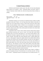 Nuosavybės apskaita 11 puslapis