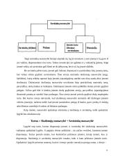 Nuosavybės apskaita 3 puslapis