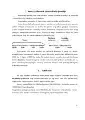 Nuosavybės apskaita 5 puslapis