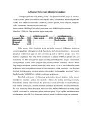 Nuosavybės apskaita 6 puslapis