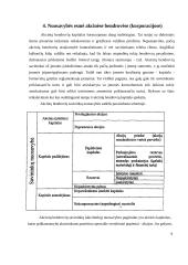 Nuosavybės apskaita 8 puslapis