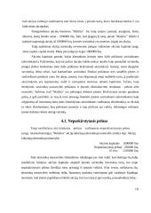 Nuosavybės apskaita 9 puslapis